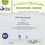 Lọc Nước Pentair Everpure PBS-400 Special