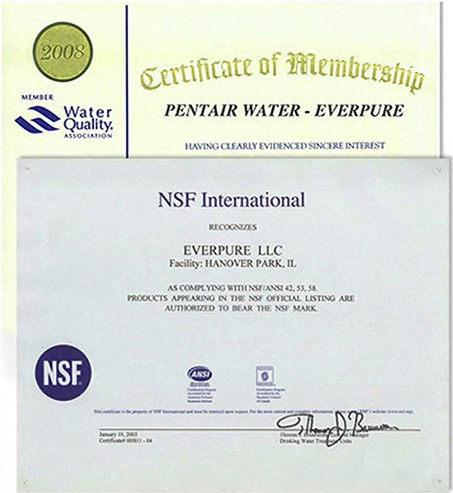 Pentair Everpure PBS 400 Standard 5